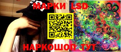 mdpv Заводоуковск
