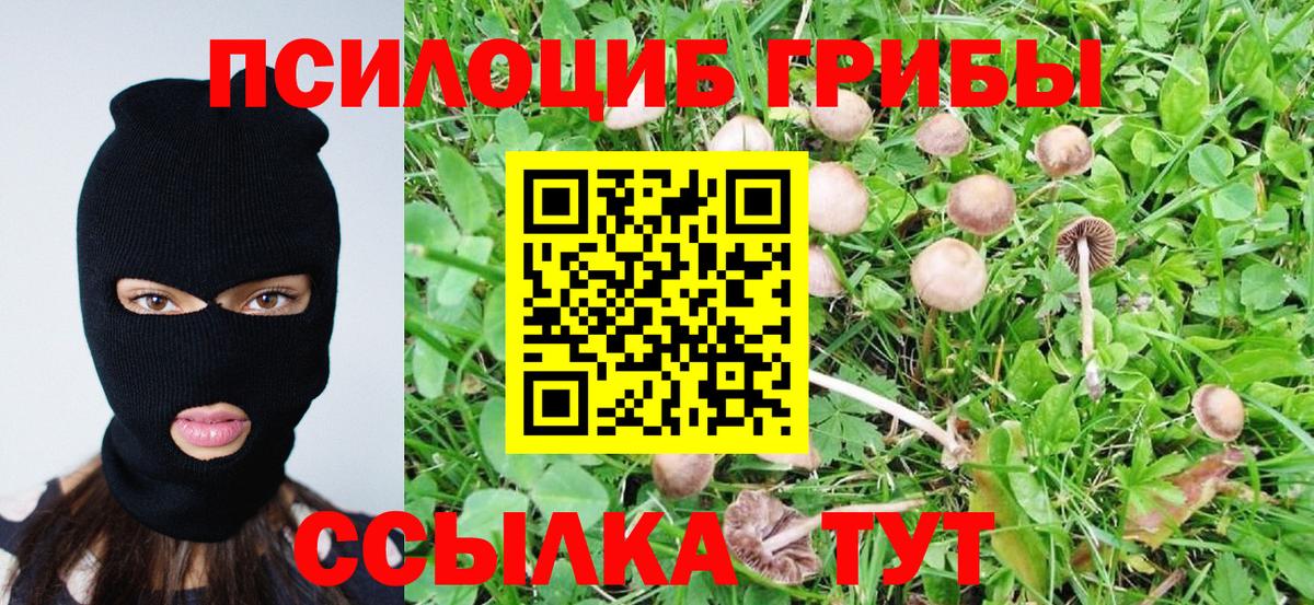 Лянтор  Псилоцибиновые грибы Magic Shrooms  Вход с VPN  Псилоцибиновые грибы ЛСД 
